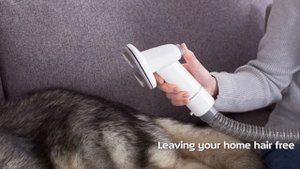Daewoo Perfect Pet Grooming Vacuum Cleaner