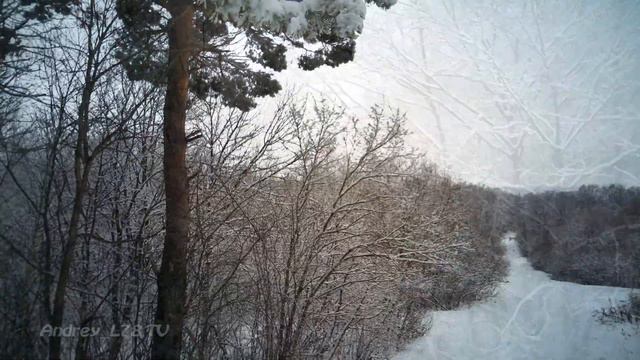 Ельник, Спасск Дальний, 15 03 2022, spruce forest, Spassk-Dalniy #спасскдальний
