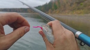 Рыбалка на Бии на ХАРИУСА 15.10.23🎣