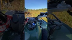 Застряли в глине? Покатушки на квадроциклах Yamaha grizzly 300;Kayo 125;Motolend wild 200