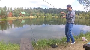 Подмосковный платник Литвиново