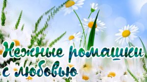 Золотая мамочка моя, поздравляю тебя с Днем рождения!