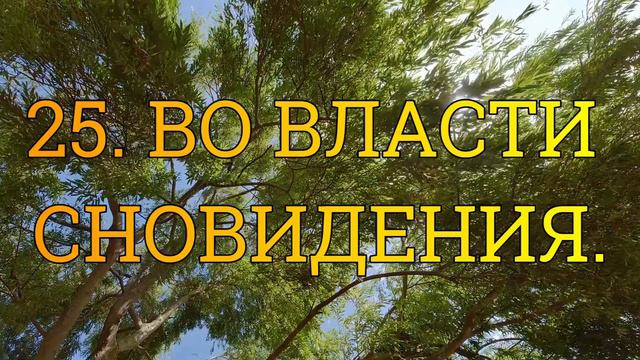 25. ВО ВЛАСТИ СНОВИДЕНИЯ. Вадим Зеланд.