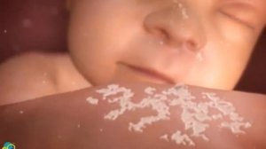 Развитие Плода Видео 28 37 неделя