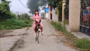 Chinese girl ride. Девушка на осле