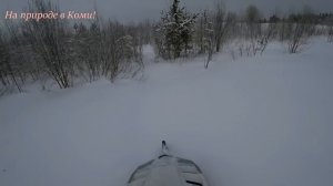 Покатушки на Буране. Автол из Лукойла. Катаю собаку.