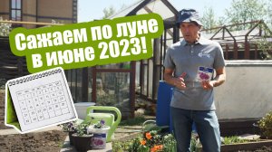 Лунный календарь огородника на июнь 2023. Благоприятные дни для огорода в июне