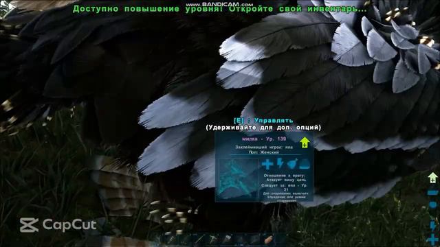 выживание в игре арк часть 2 постройка дома и приручение раптора смотреть онлайн