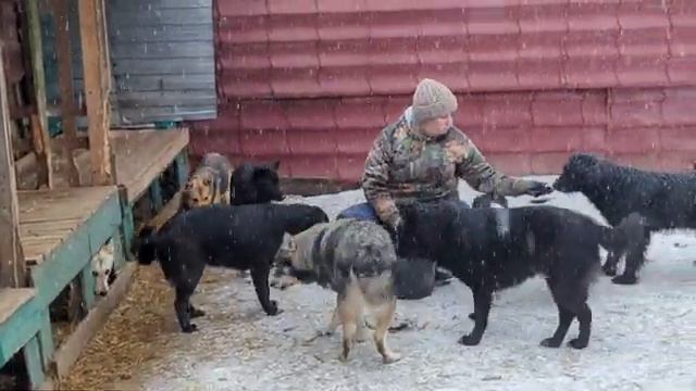 День Тяпая смотреть онлайн