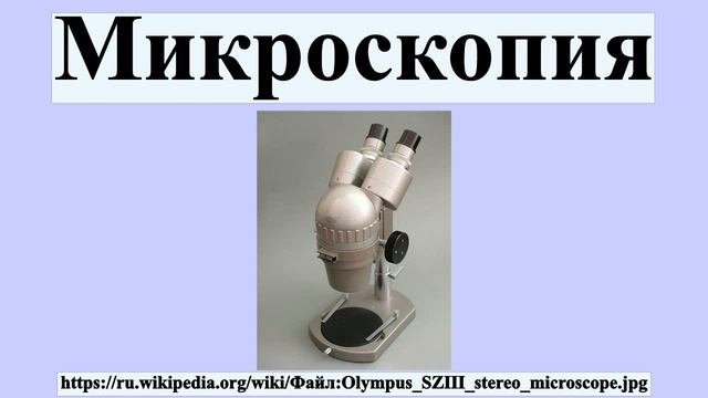 Микроскопия