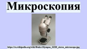 Микроскопия