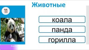 РКИ Животные Тест Russian Animals Test