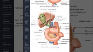 GIT and RENAL Review session Lecture 3