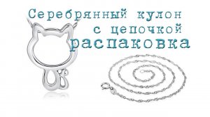 Серебряный кулон в виде котёнка c цепочкой. Ожерелье. Распаковка посылки из Китая.