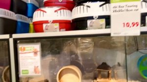 Любовь втроём ❤️ С Мужем в рейс ? Уборка в спортзале ? 16.09.2021