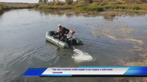 Усовершенствование лодочного мотора Carver MHT-3.8S