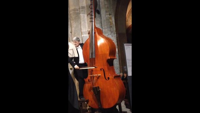 A. Dvorak - New World Symphony + Octobass смотреть онлайн