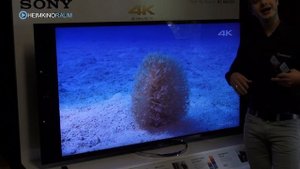 Sony Ultra HD TV KD65X9005A
