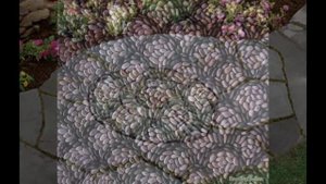 Садовые дорожки из гальки