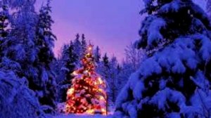 В ЛЕСУ РОДИЛАСЬ ЕЛОЧКА РЭП