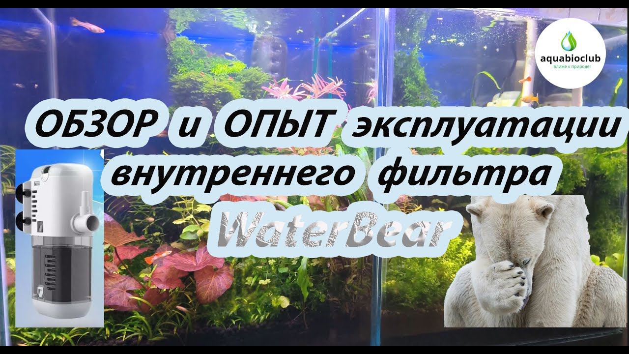 Обзор и опыт эксплуатации внутреннего фильтра WaterBear. смотреть онлайн