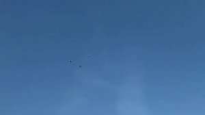 Николаевские голуби Калугин Николай  с.Верхняя Хава 2016