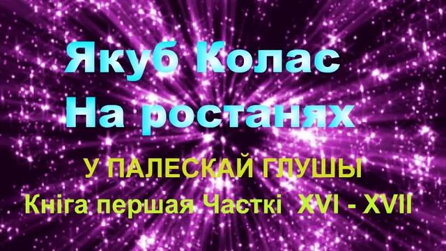 16-17. Аўдыёкніга Якуб Колас У палескай глушы Беларуская літаратура Ч 16- 17 9 клас смотреть онлайн