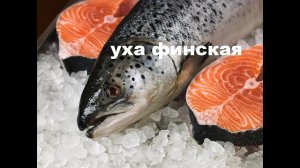 ФИНСКАЯ УХА КОТОРАЯ НИКОГДА НЕ НАДОЕДАЕТ! ВКУСНО , ПРОСТО!
