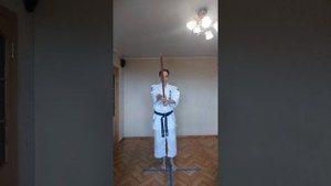 Техники с мечом и другие базовые техники Томики айкидо