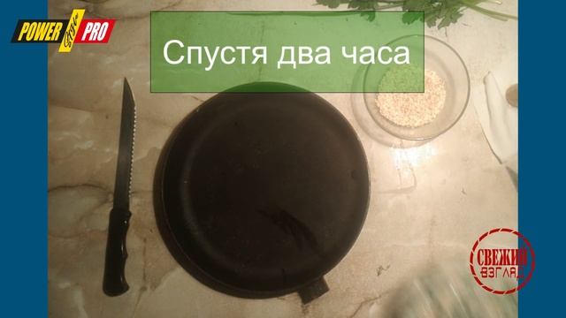 Белковая диета: рецепты полезных вкусняшек [Свежий взгляд] #3