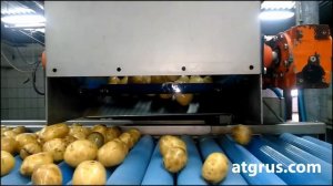 Бизнес идеи. Дополнительный заработок на картофеле.