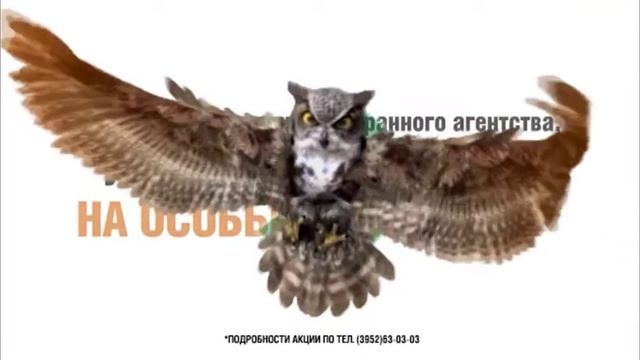 Желдоохрана: у нас специальные условия!