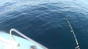 Платная Рыбалка на Чёрном море ,морская рыбалка, рыбалка в Геленджике.