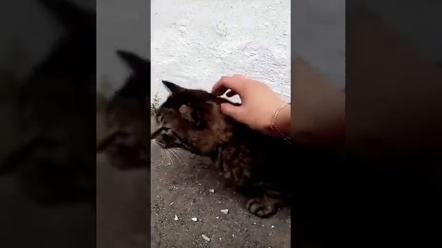 Что делать , если нечего делать ? Бывает . смотреть онлайн