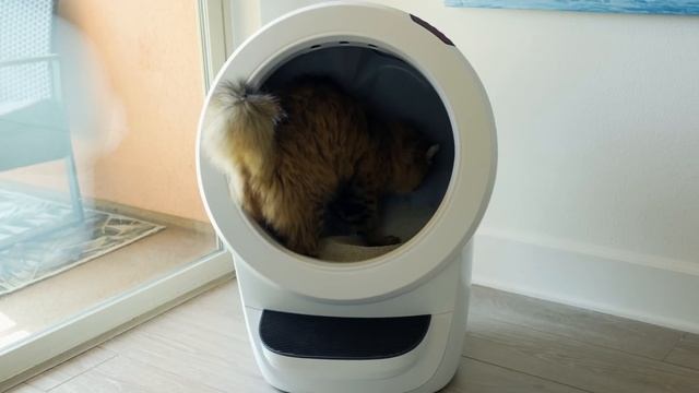 Самая крутая технология для кошек! Самоочищающийся туалет?! Litter-Robot 4. На русском смотреть онлайн
