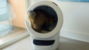 Самая крутая технология для кошек! Самоочищающийся туалет?! Litter-Robot 4.  На русском