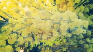 Самая Красивая Песня на 8 Марта!!!Лучшая песня на 8 Марта!!!