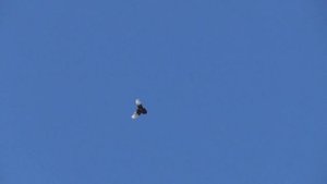 Турман. Курский.