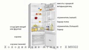 Холодильник АТЛАНТ ХМ 6022