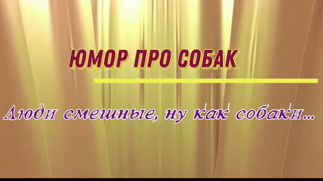 Юмор про собак: люди смешные, ну как собаки...