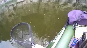 Рыбалка на головля на реке Ай в Челябинской области, часть 3