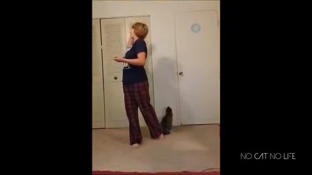 Наблюдение за жизнью детей и домашних животных смотреть онлайн