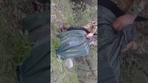 ЛОВУШКА ИЗ КАРТОНА ДЛЯ ПЧЕЛИНЫХ РОЕВ - 5 минут и готова