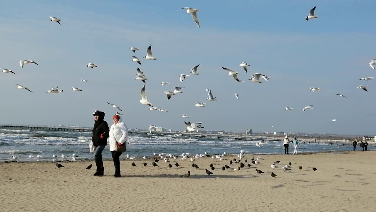 Маленький видосик для вашего настроения.