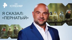 Я сказал: «Пернатый» — Как устроен мир с Тимофеем Баженовым (12.05.2023)