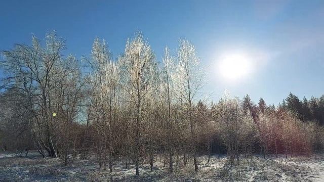 24 ноября 2023 г. Зимняя Феерия...
