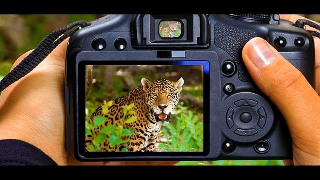 как научиться правильно фотографировать людей
