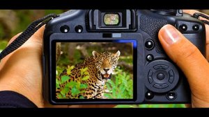 как научиться правильно фотографировать людей
