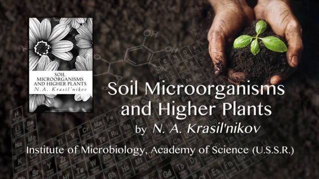 ?Букварь по микроорганизмам почвы и растениям смотреть онлайн