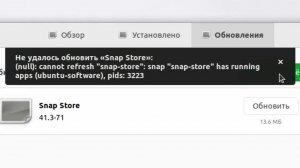 Не удалось обновить Snap Store